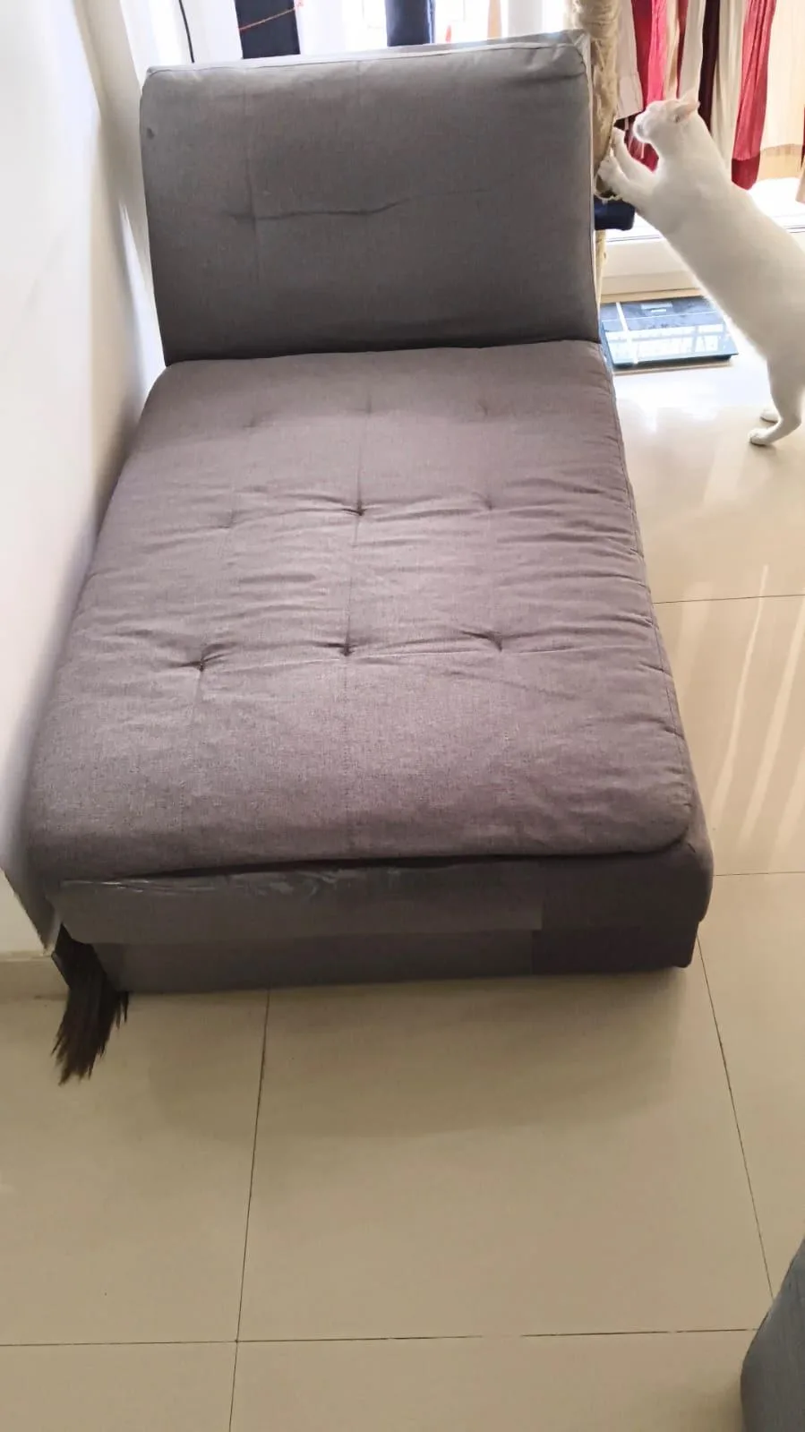 Sofa cum bed — photo 2