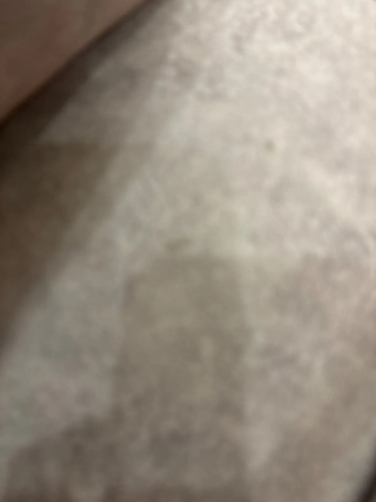 Wheelchair — photo 2
