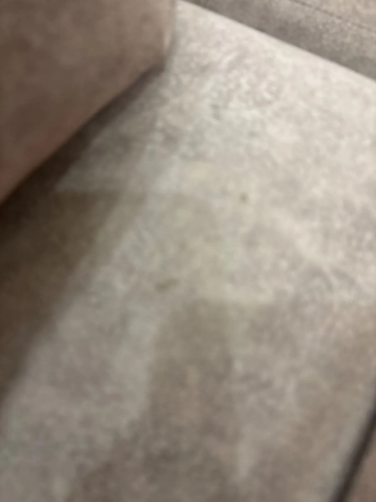 Wheelchair — photo 3