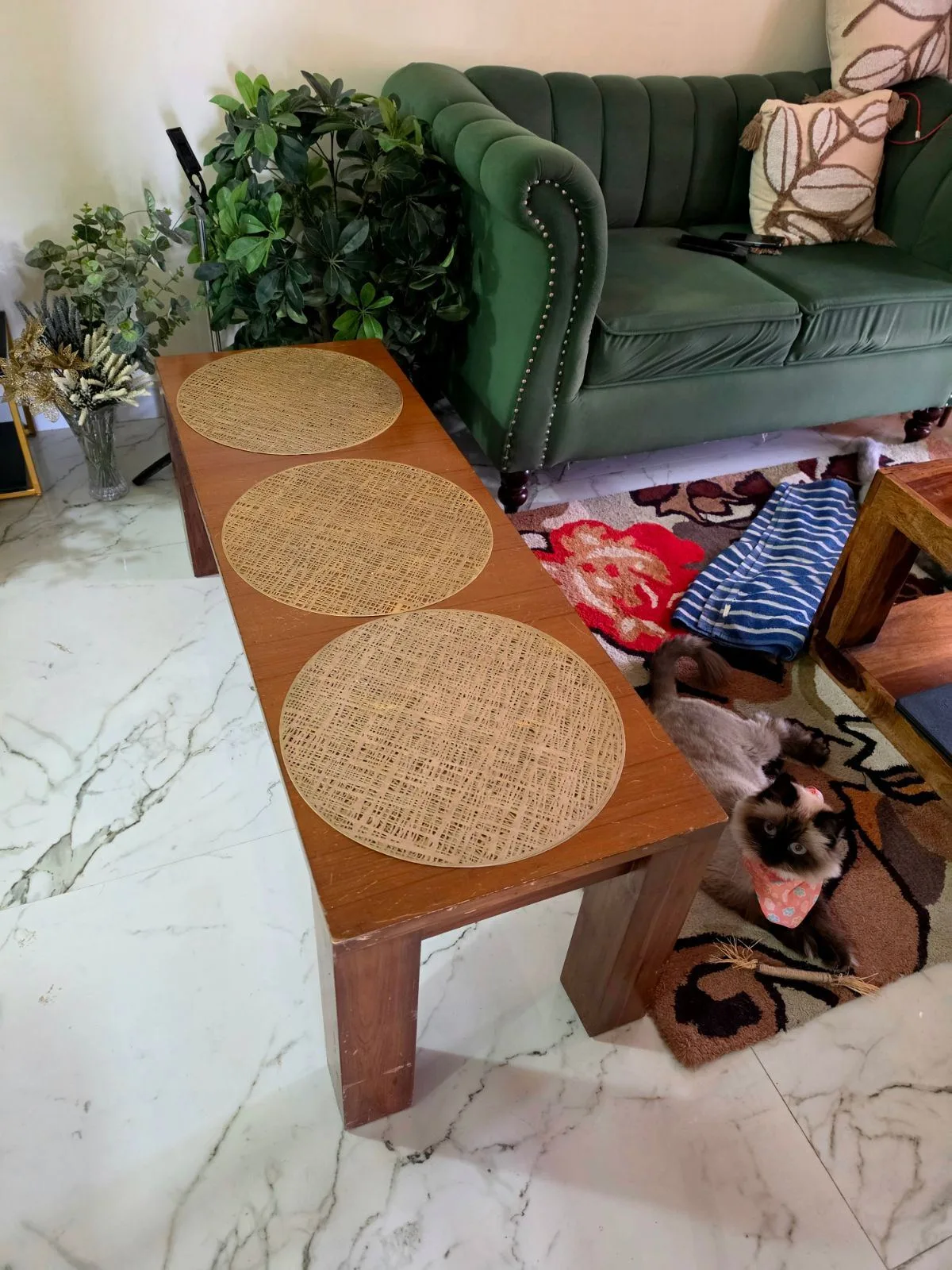 Dining table set 6 seater with Bench — furniture donation in Mumbai — photo 3