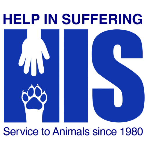 Help In Suffering