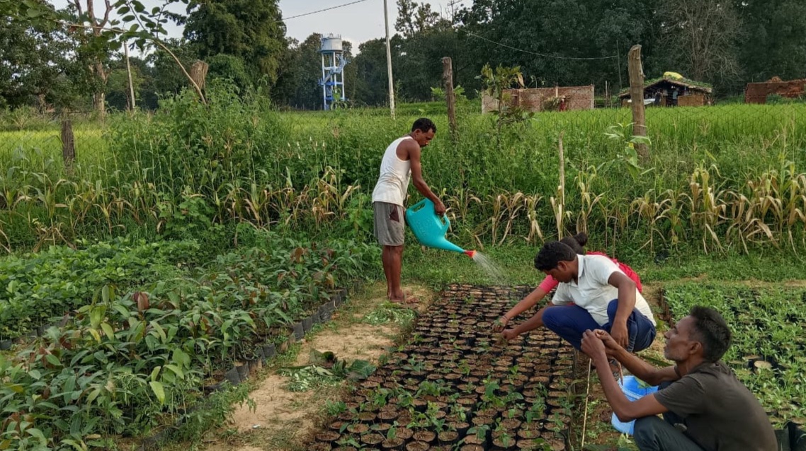 Maanpur reforestation