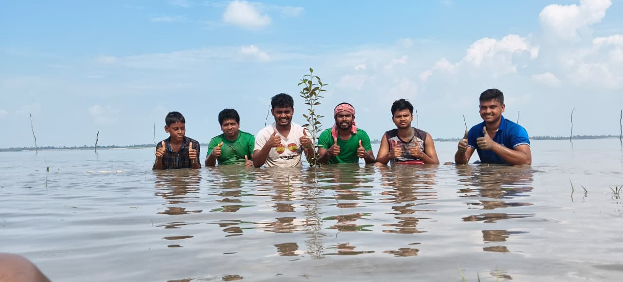 Mangroves Planted 💚