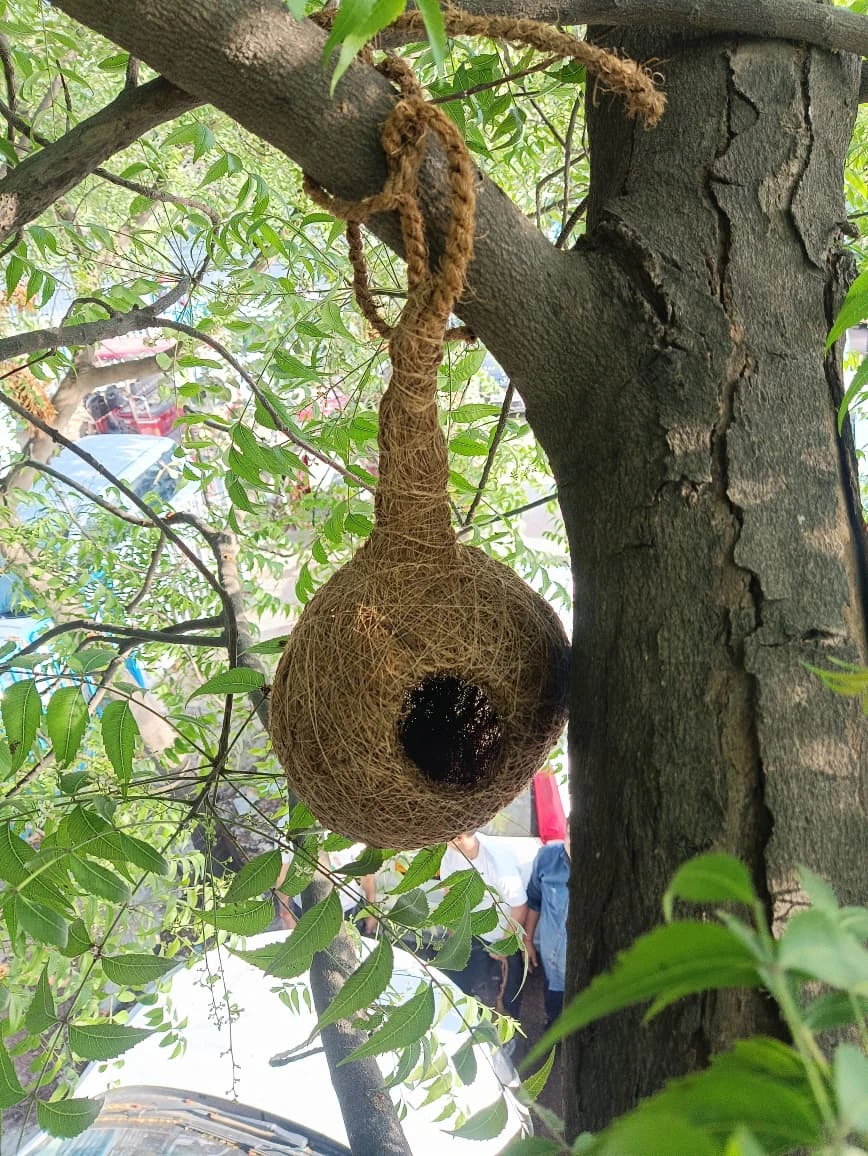Coir nest (1).webp