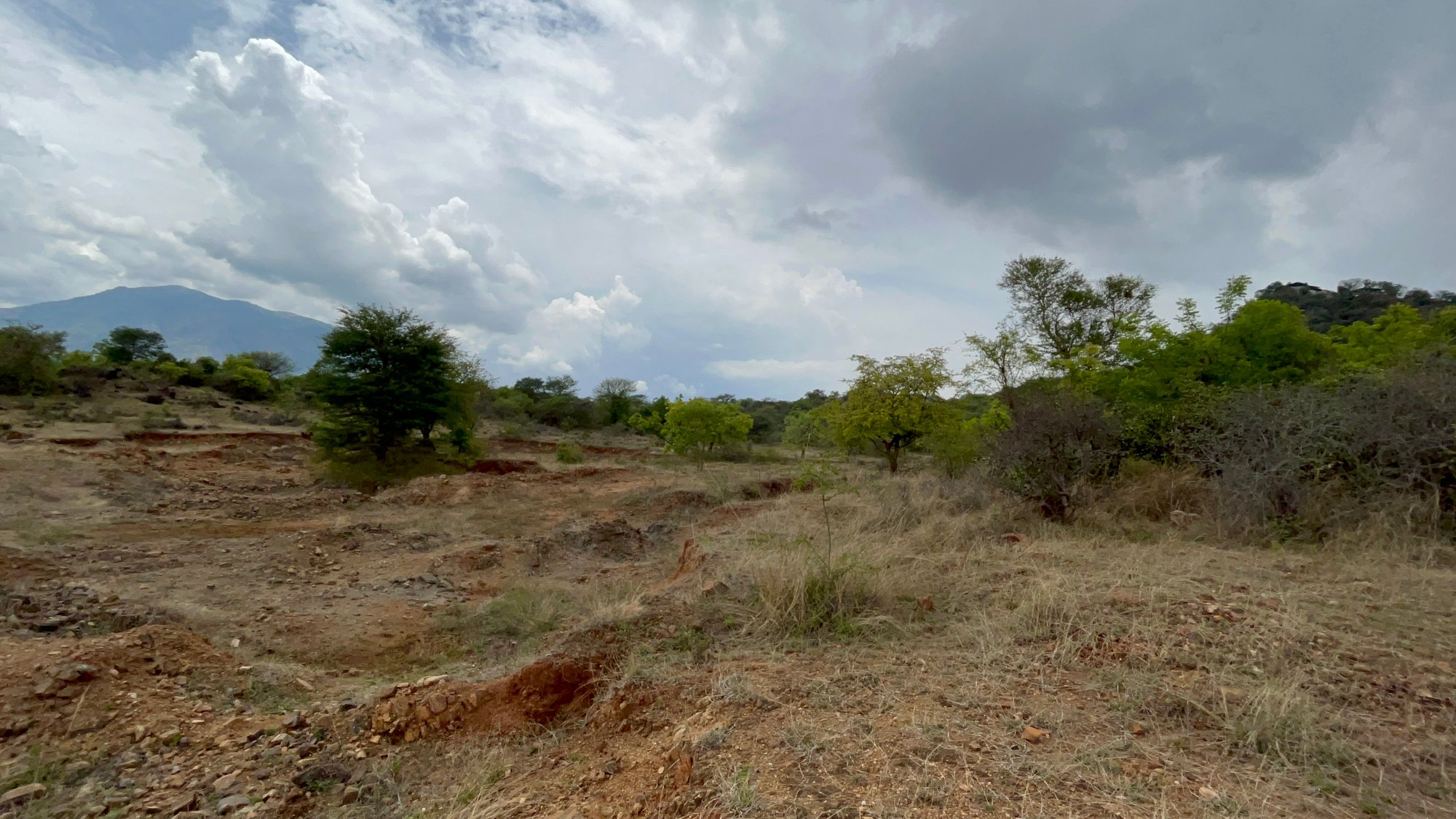 Project Initiation: Kamatchipuram Sanctuary Development
